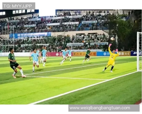 足球明星与球迷的激情碰撞在绿茵场上谱写动人乐章